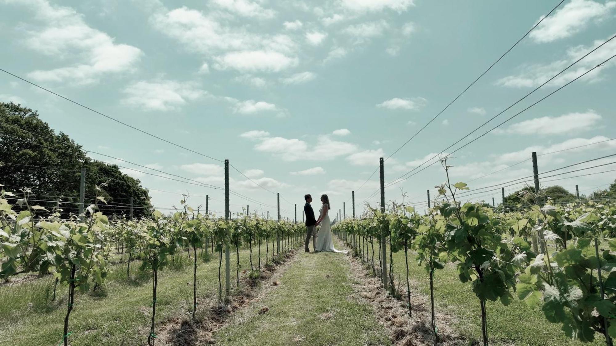 Вилла Pinkmead Estate And Vineyard Osborne  Экстерьер фото